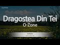 O-Zone-Dragostea Din Tei (Karaoke Version)