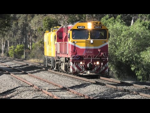 N453 on 8095 at Golden Square.  10-12-21.