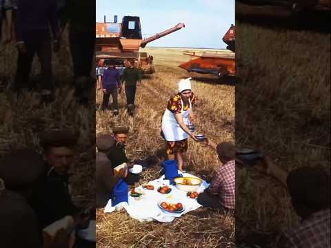 Сколько на самом деле зарабатывал советский комбайнер во время страды?#fact #ссср #техника #комбайн