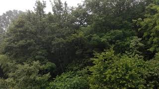 雨が振っとるけえみてほしいんよ