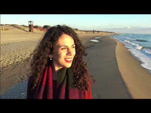 video frame placeholder