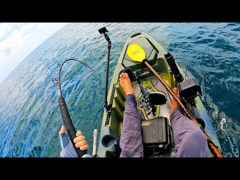 HUGE Fish Almost FLIPS My Kayak! Field Trips Panama