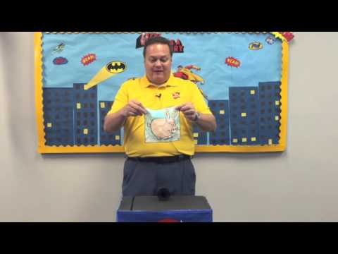 BACK-UP BUNNY – Tim Sonefelt