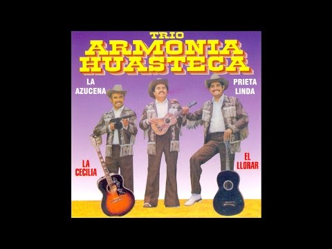 Trio Armonia Huasteca - El Taconcito