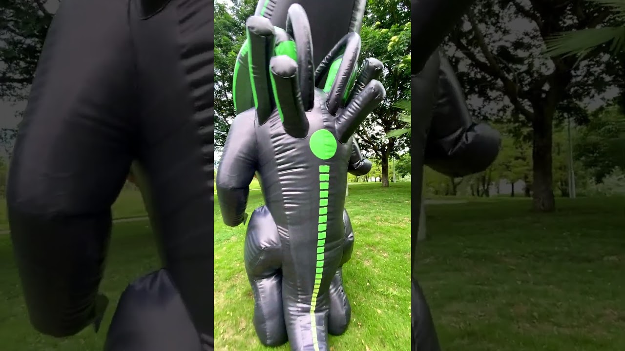 Video Placeholder