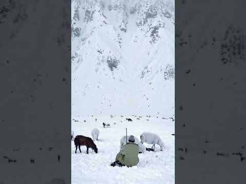 Maroof stdm 💔 10Kvideo 💔 10Kvideo I will send you I am not