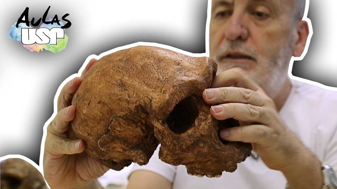 Saga da Humanidade -- Aula 9 (Homo heidelbergensis)