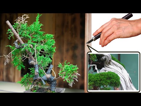 Shari Deadwood: The technique that changes everything