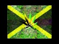 Guerrillafinga - Ganja Ganja 