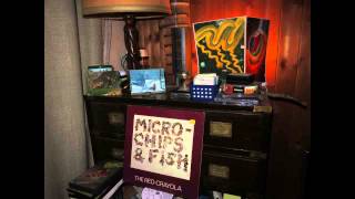 Micro - Chips & Fish - The RED CRAYOLA, Micro - Chips & Fish (1979)