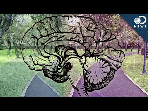 Why Do We Experience Déjà Vu?