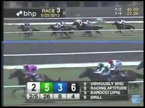 American H (Grade II) Turf 2013