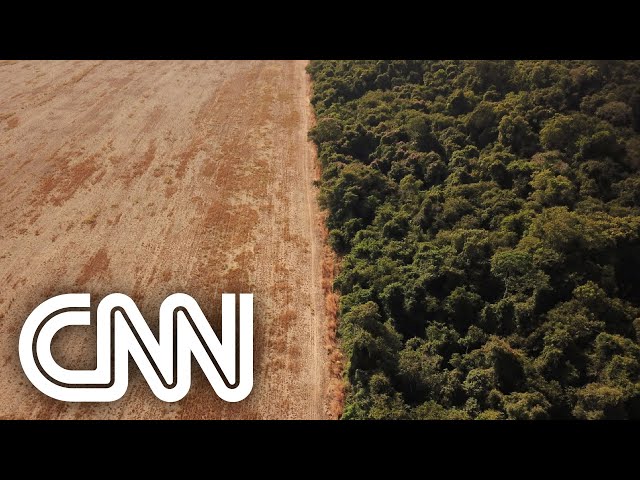 Inpe: Alertas de desmatamento na Amazônia registram pior setembro da série histórica | EXPRESSO CNN