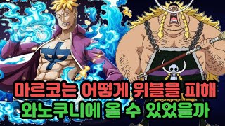 [원피스분석]마르코는 어떻게 위블을 피해 와노쿠니에 올 수 있었을까 전격분석