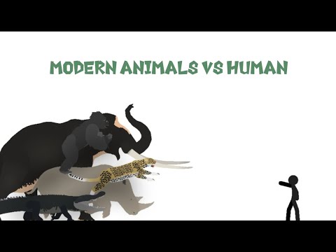 Modern Animals vs Human