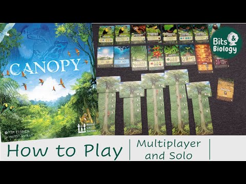 Canopy How to Play | Multiplayer and Solo Rules | Bits & Biology