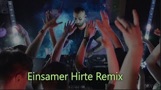 Download lagu Einsamer Hirte Remix mp3