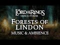 Lord Of The Rings Elven Realm Of Lindon Music Ambience Rings Of Power With ASMR Weekly