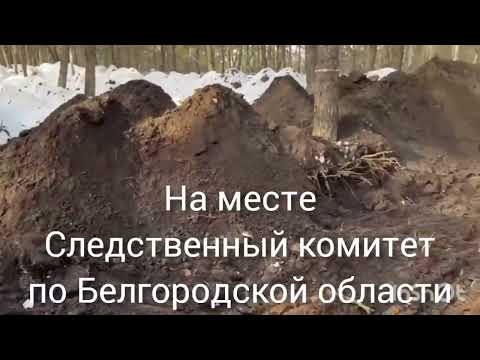 Отчет о раскопках 29 февраля 2024г Старый Оскол