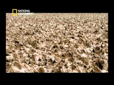 Aux frontières de la science - Le destin fatal de la terre