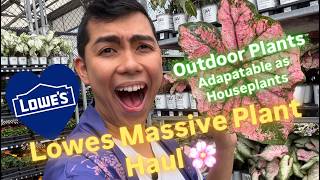 HUGE Lowe's Plant Haul! Spring 2026 Trends & Budget Saving Hacks Big Box Store Plant Shopping