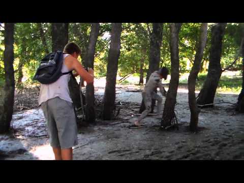 Túlélés törvénye - Bear Attila 5 Intro