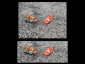 Cars Stop Motion 4 3 Vs 2 35 1