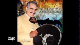 Borracho Se Me Olvida   Vicente Fernández