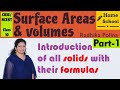 Surface Areas Volumes Part 1 Class 10 Introduction Mathematics NCERT CBSE