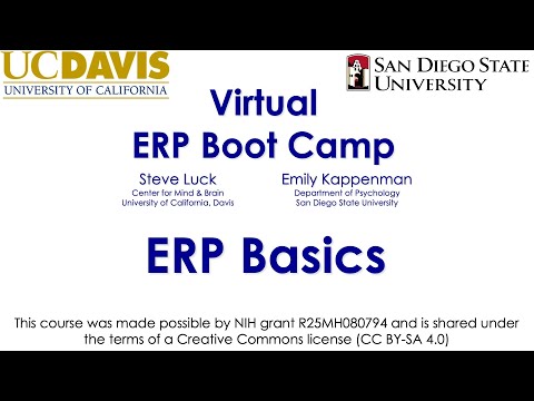 ERP Basics 2-  Averaged ERPs