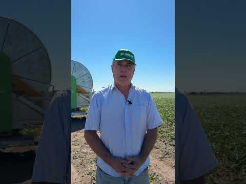 Caso de éxito de Carrete Criolani Bauer en Sampacho, Cordoba.