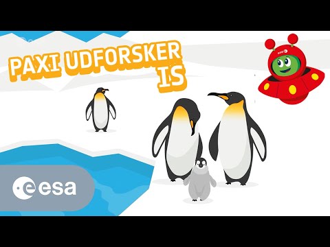 Paxi udforsker is