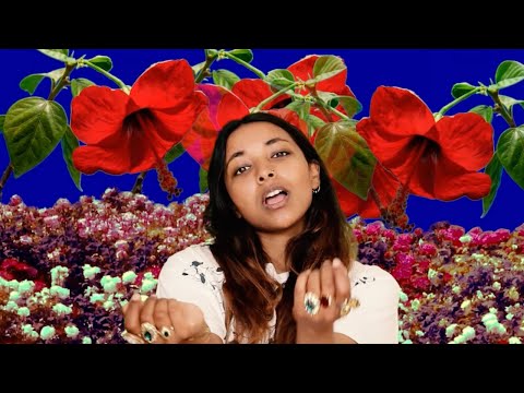 Ravi Kuma - Don't Ya