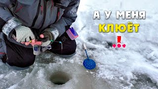 Кто был на рыбалке в вельске