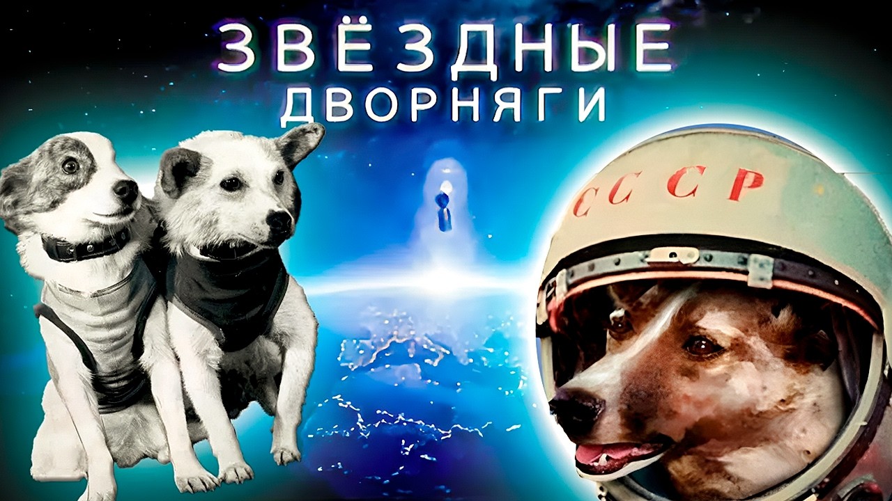 Триумф СССР и зависть соперников: космические герои на четырёх лапах