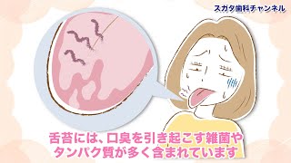 医療法人社団　スガタ歯科医院