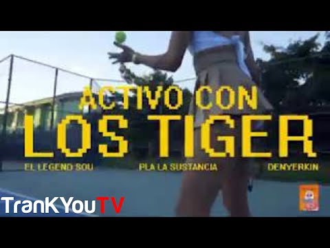 Pla La Sustancia - Activo Con Los Tiger (feat. DenyerKin & El Legend Soou) - [Official Video]