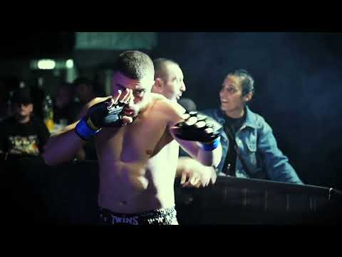 international hilight ZWC