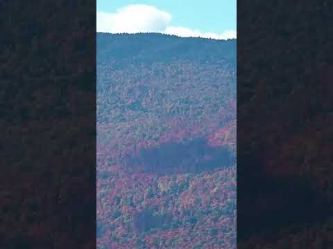 Vermont Clip 4106 #landscapes #nature #fallfoliage #falllandscape #autumn