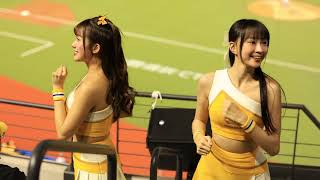 20250302 台灣交流賽 日本火腿戰  小迪&曼容 L2應援（王威晨） 　#台湾チア　#passionsisters