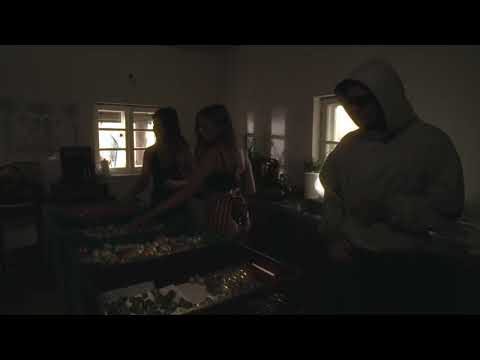 TYMEK - $O$ | OFFICIAL MUSIC VIDEO