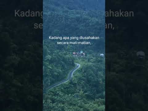 Berujung Kecewa #videoshort #trending #kisahnyata