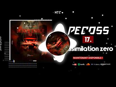(17).PECOSS - ASSIMILATION ZÉRO (BLACK EAGLE 2ème PARTIE)