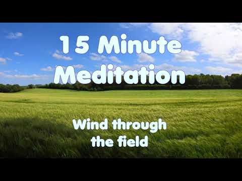 15 min meditations -  Wind through field