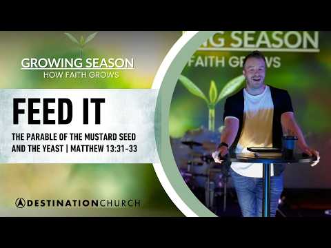 Feed It