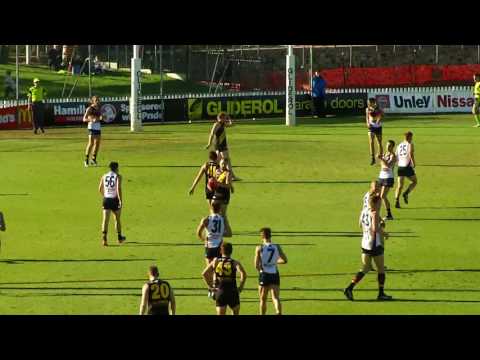 2017 BankSA Rookie -  Round 8 Todd Slade (Glenelg)