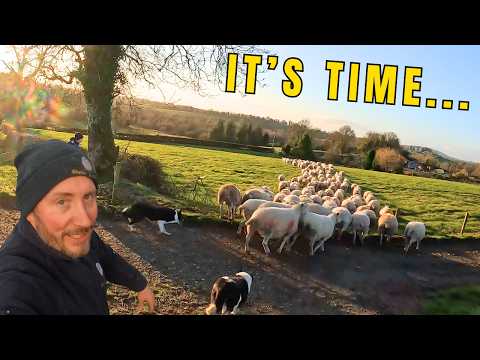 Clearing Out, Cashing In & Moving On