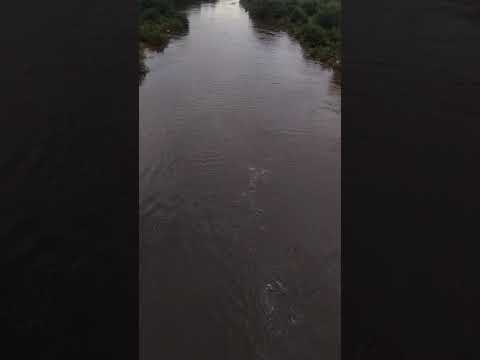 así está hoy el río albigasta frías Santiago del Estero