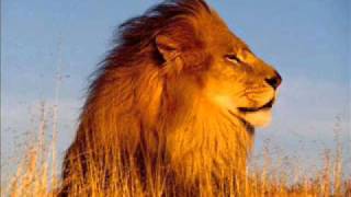 Van Morrison - Listen To The Lion