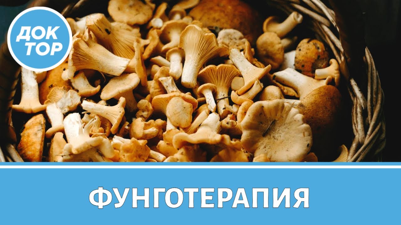 Что врачи думают о лечении грибами